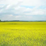 Obora 827 Nová Bystřice
