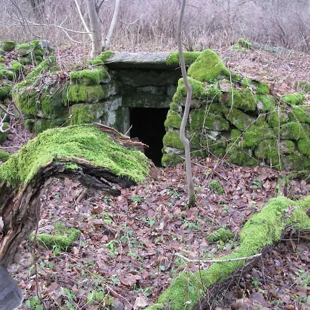 Obora 827 Nová Bystřice