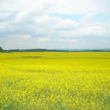 Obora 827 Nová Bystřice
